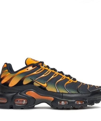 Nike Air Max Plus - TN